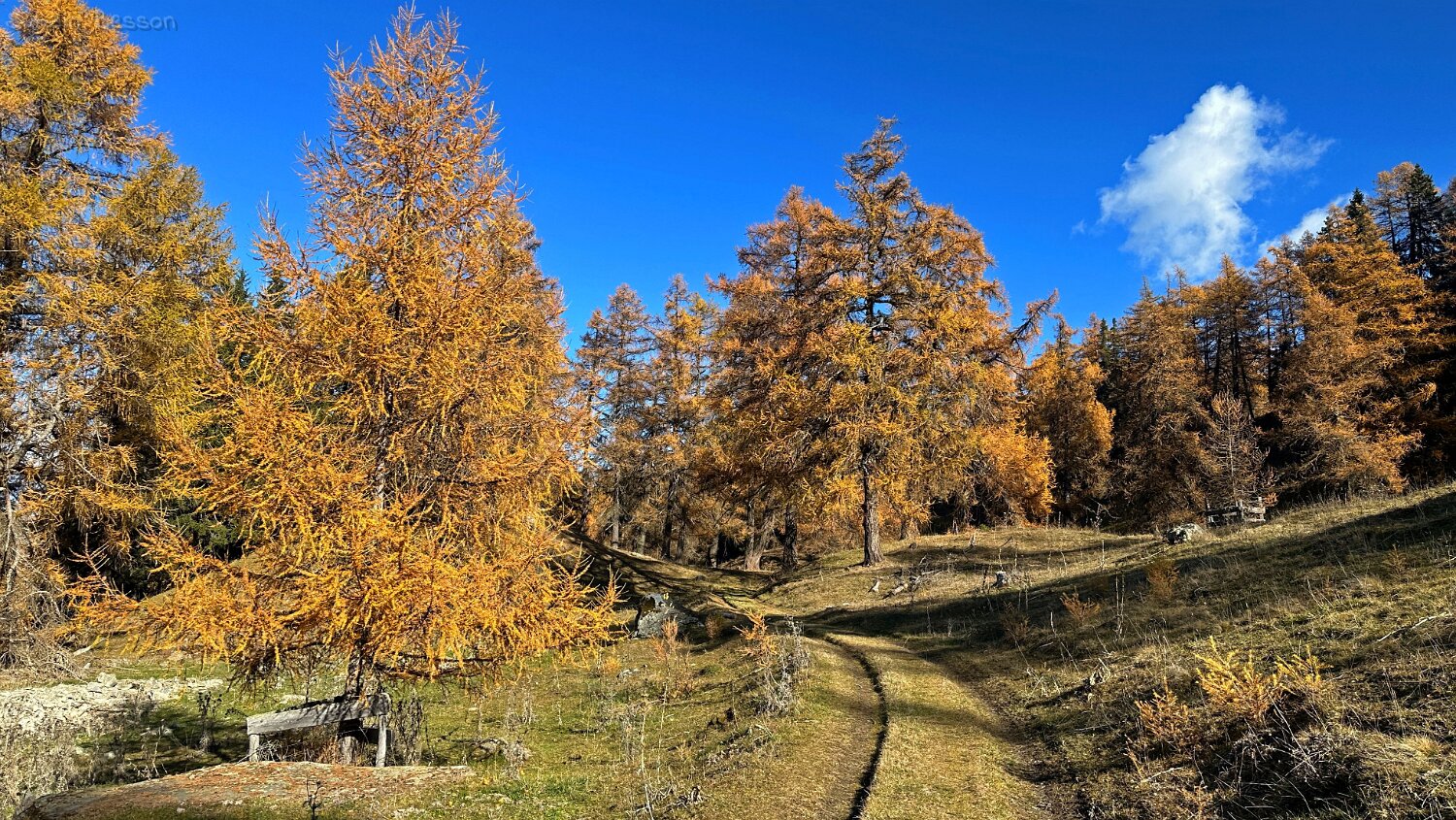 Col des Planches - La Crevasse Rando 2025