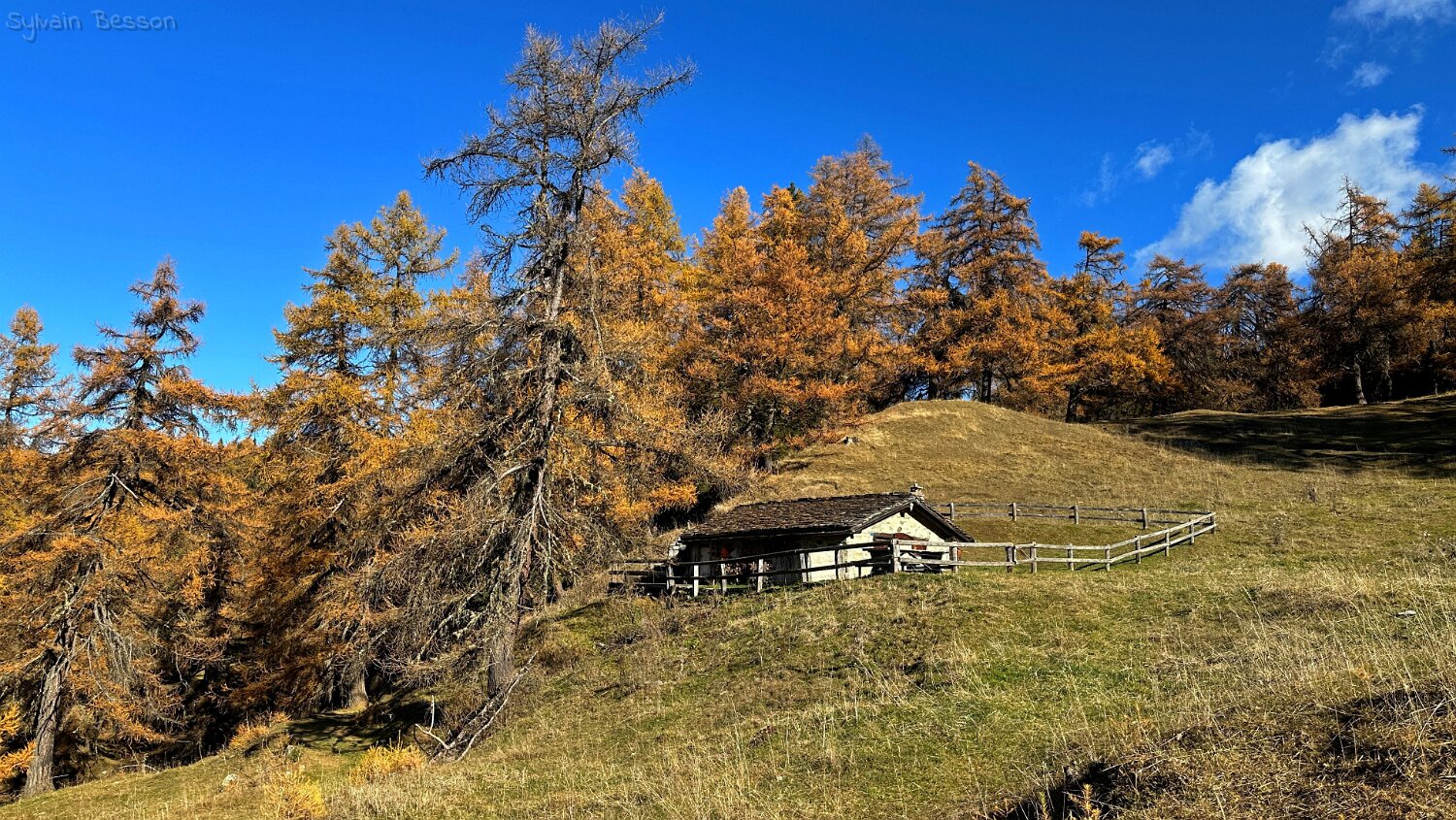 Col des Planches - La Crevasse Rando 2025