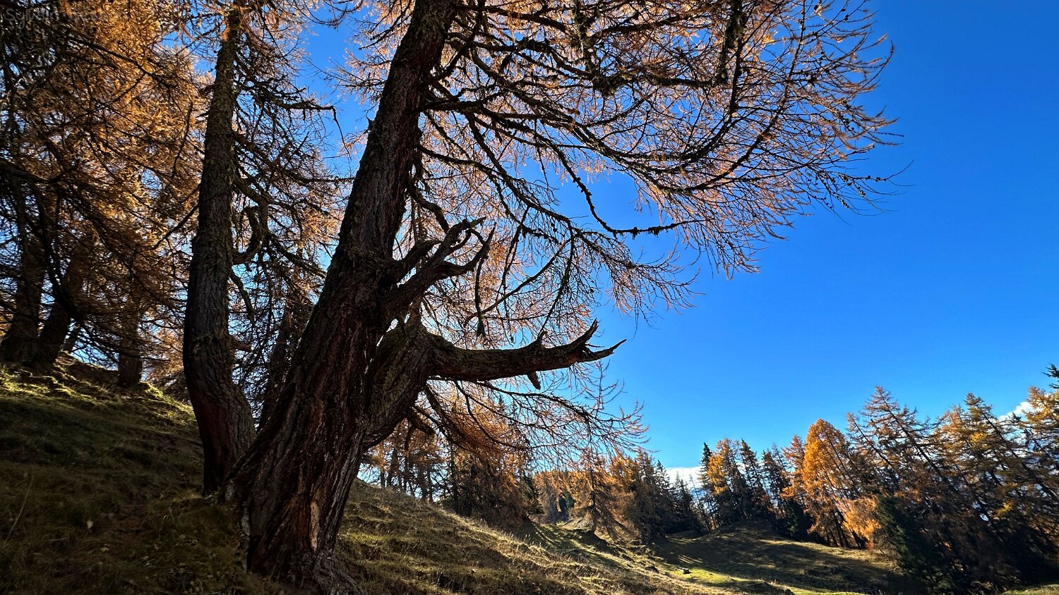 Col des Planches - La Crevasse Rando 2025