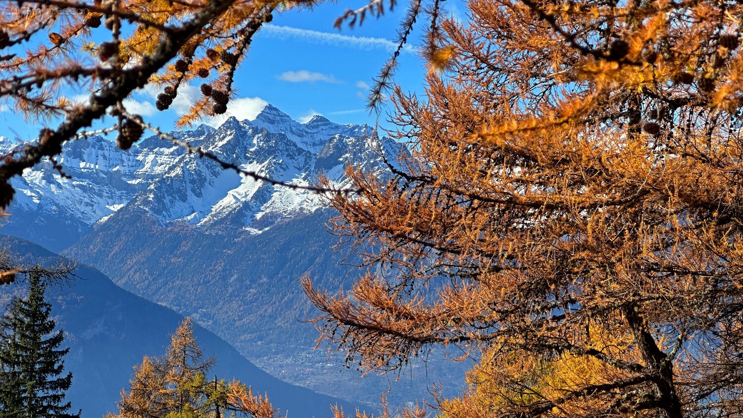 Col des Planches - La Crevasse Rando 2025