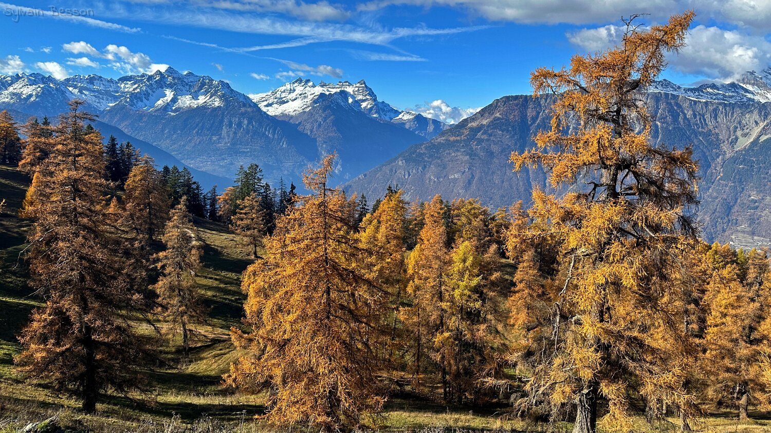 Col des Planches - La Crevasse Rando 2025