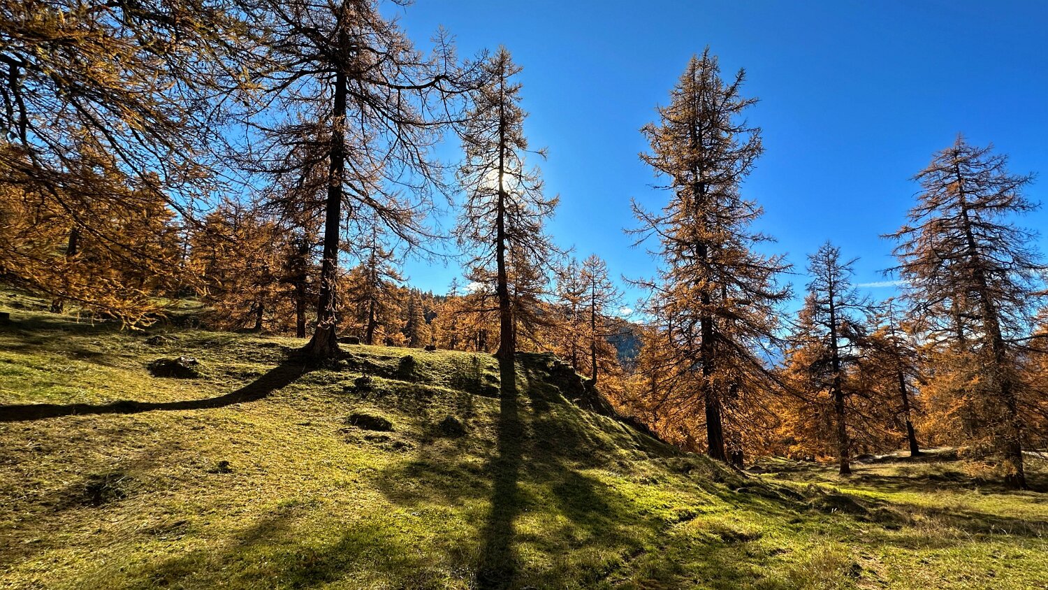 Col des Planches - La Crevasse Rando 2025