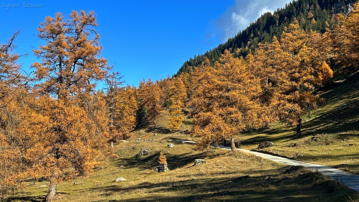Col des Planches - La Crevasse Rando 2025