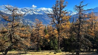 Col des Planches - La Crevasse null