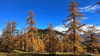 Col des Planches - La Crevasse null
