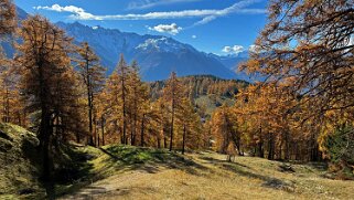 Col des Planches - La Crevasse null