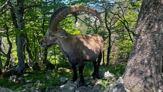 Creux du Van Rando 2025