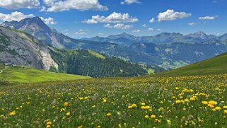 Stüblenipass Rando 2025