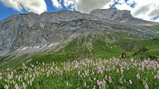 Tungelpass Rando 2025