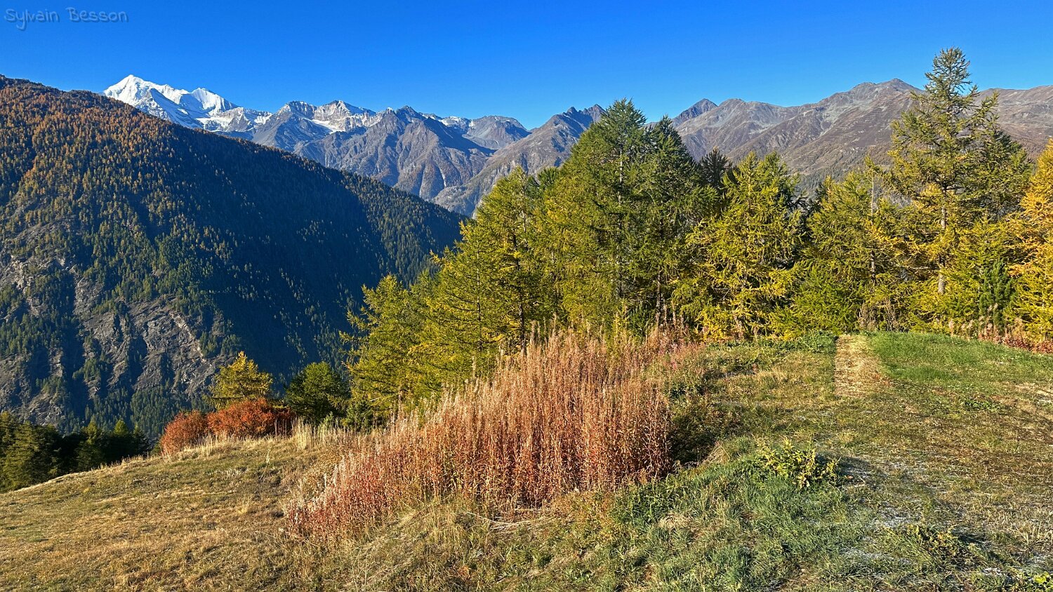 Gspon - Visperterminen Rando 2025