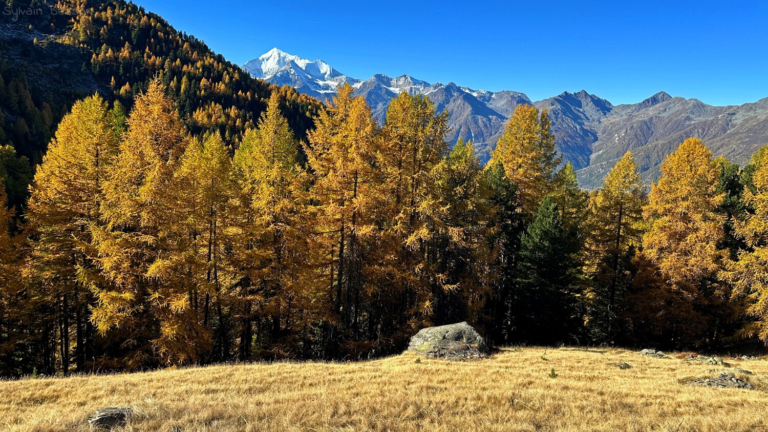 Gspon - Visperterminen Rando 2025