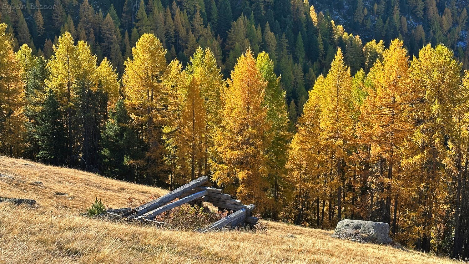 Gspon - Visperterminen Rando 2025