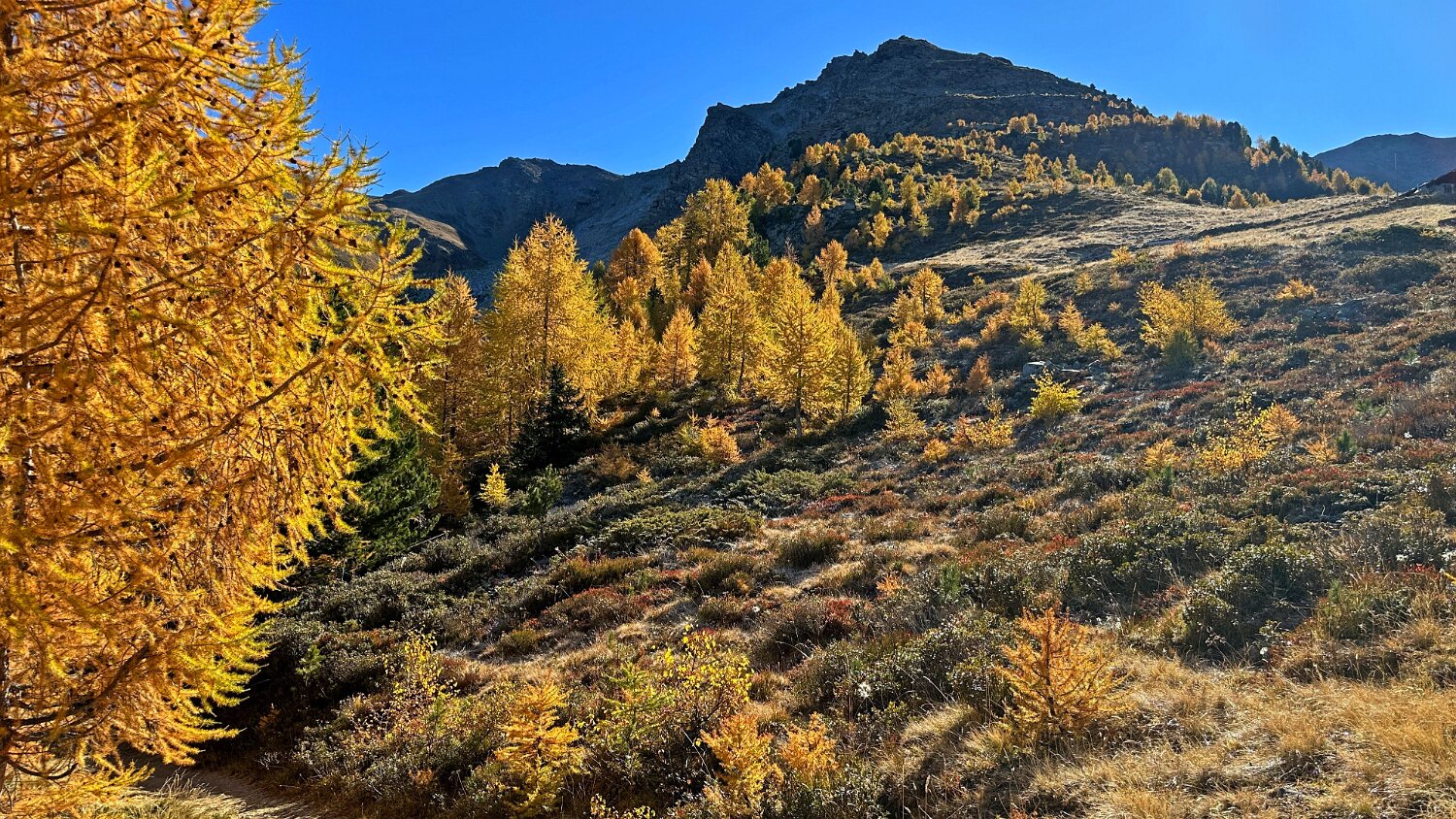 Gspon - Visperterminen Rando 2025