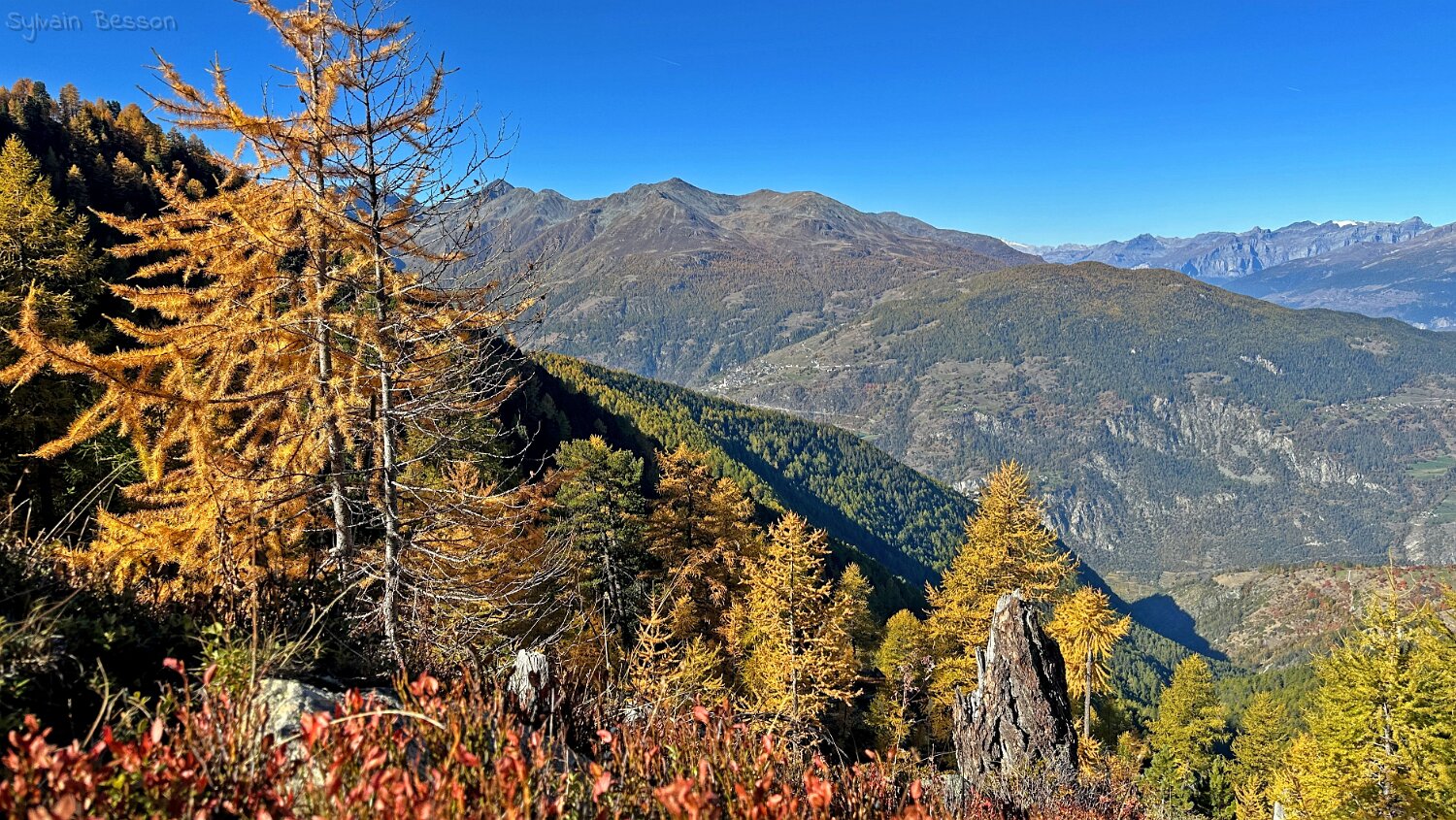 Gspon - Visperterminen Rando 2025