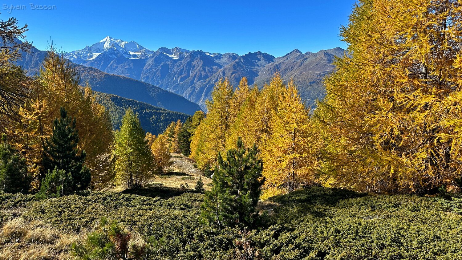 Gspon - Visperterminen Rando 2025