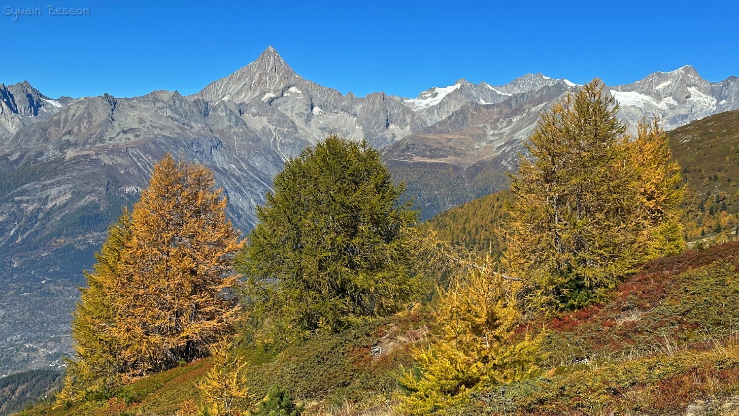 Gspon - Visperterminen Rando 2025