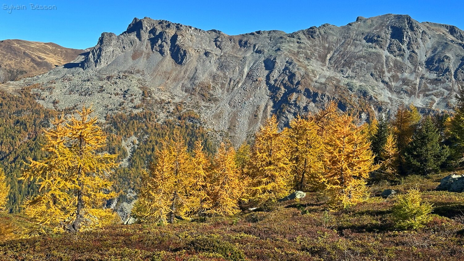 Gspon - Visperterminen Rando 2025