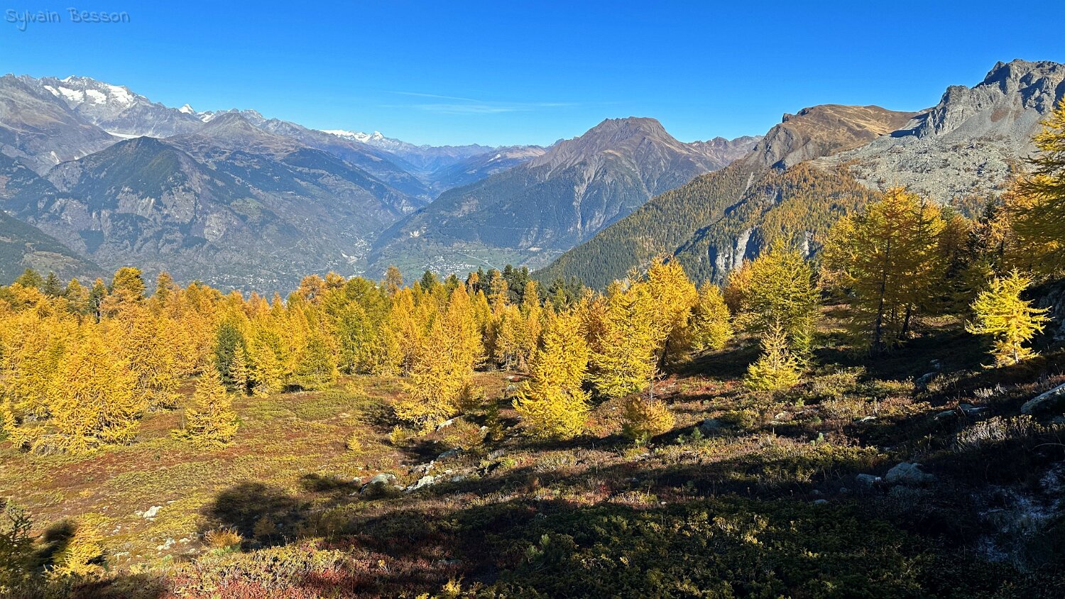 Gspon - Visperterminen Rando 2025