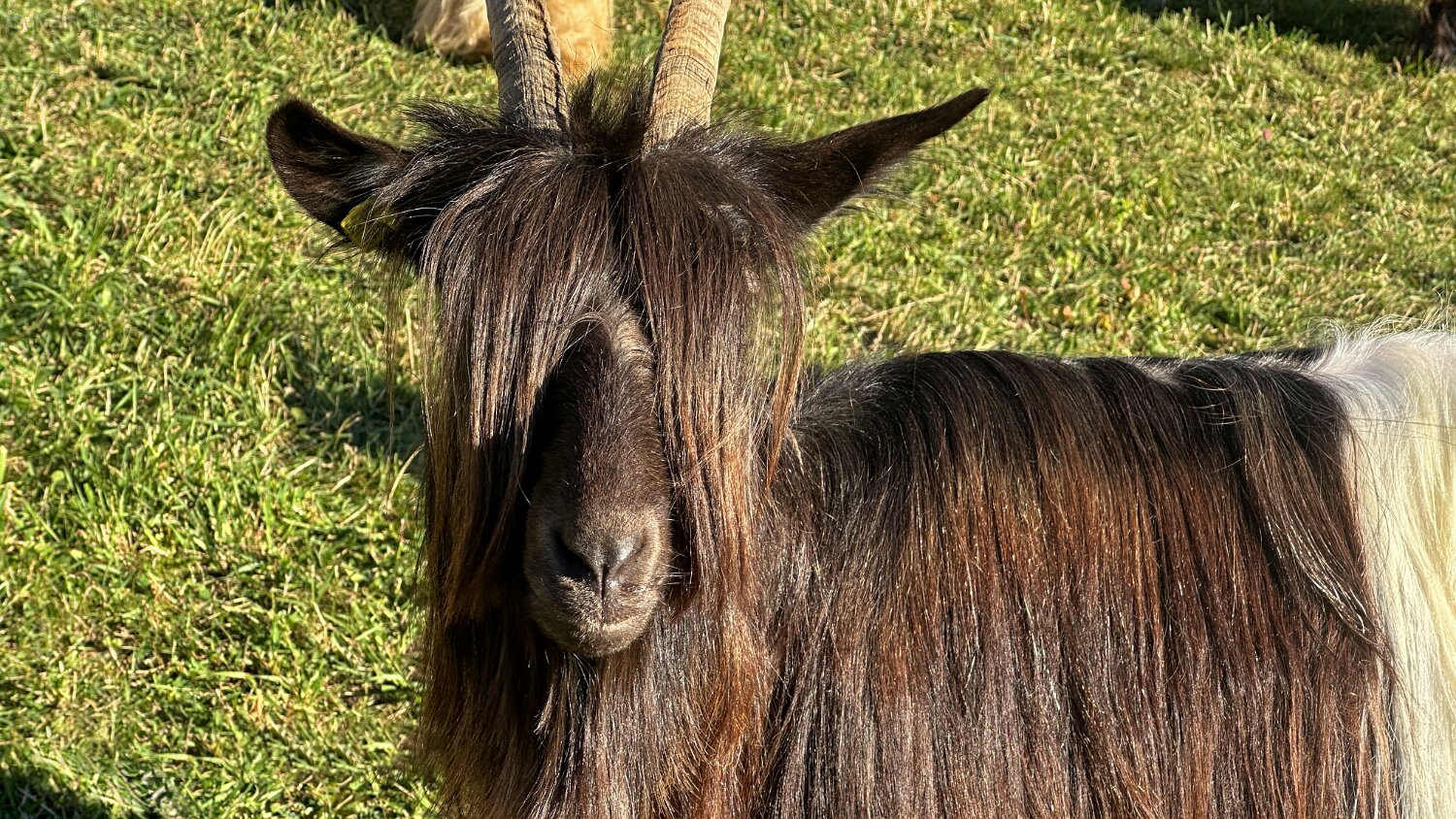 Visperterminen Rando 2025