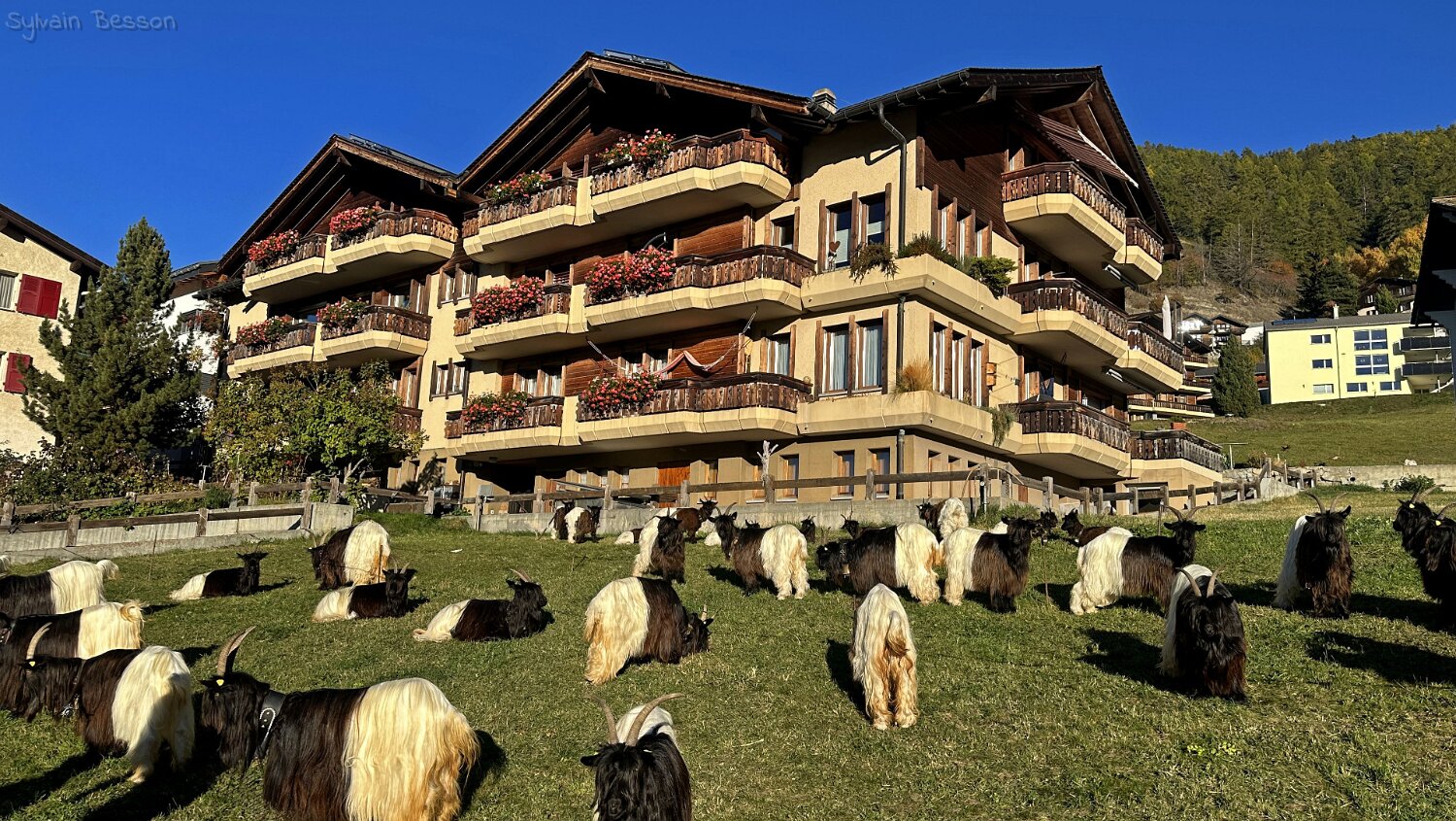 Visperterminen Rando 2025