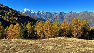 Gspon - Visperterminen Rando 2025