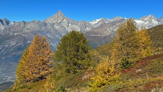 Gspon - Visperterminen Rando 2025