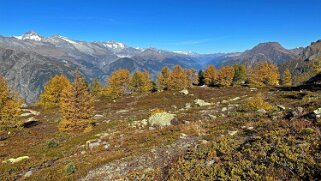 Gspon - Visperterminen Rando 2025