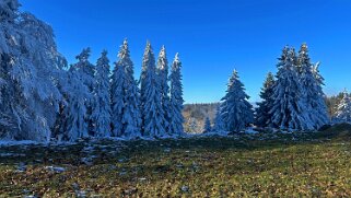 Haut du Mollendruz null