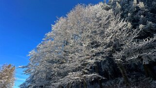 Haut du Mollendruz null