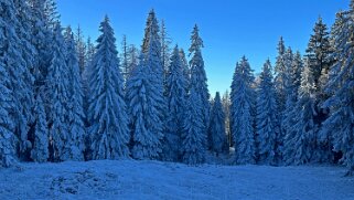 Haut du Mollendruz null