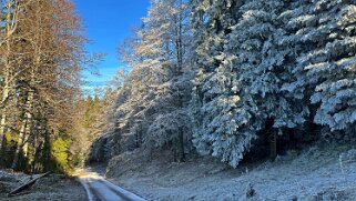Haut du Mollendruz null