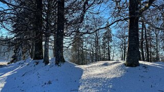 Haut du Mollendruz null
