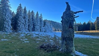 Haut du Mollendruz null