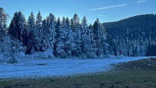 Haut du Mollendruz null