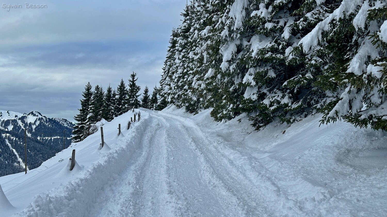 Col du Pillon - Isenau Rando 2025