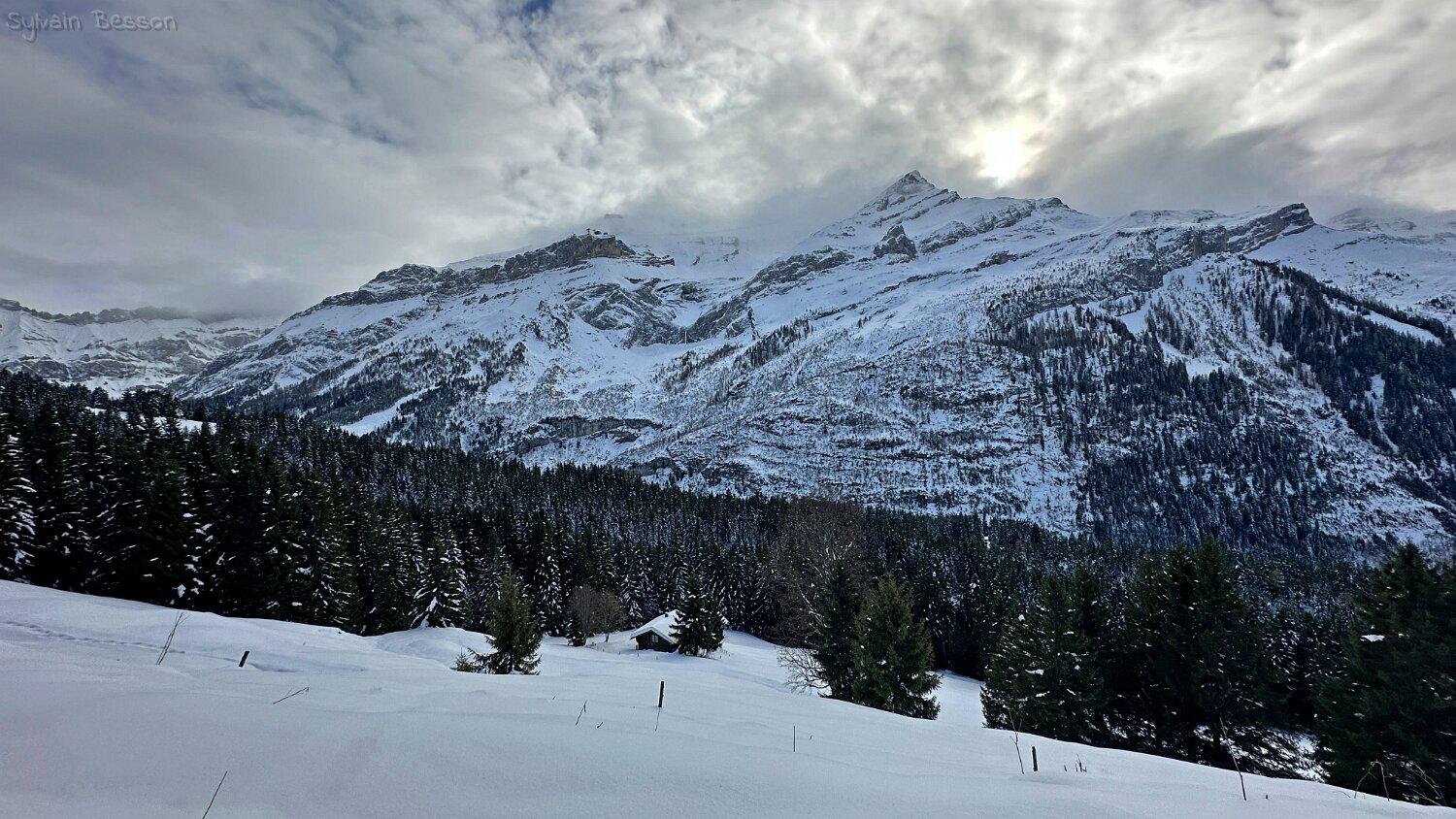 Col du Pillon - Isenau Rando 2025