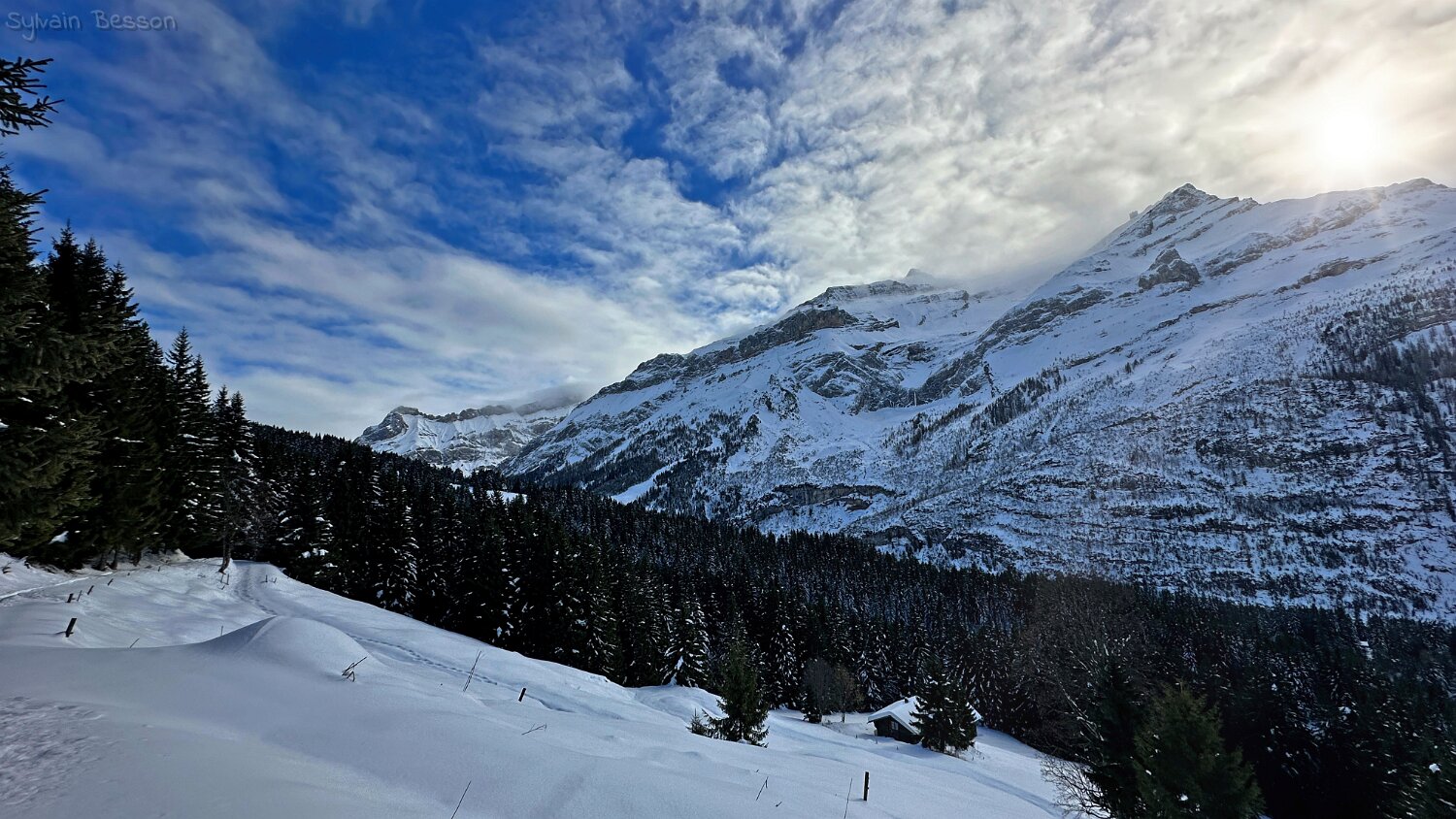 Col du Pillon - Isenau Rando 2025