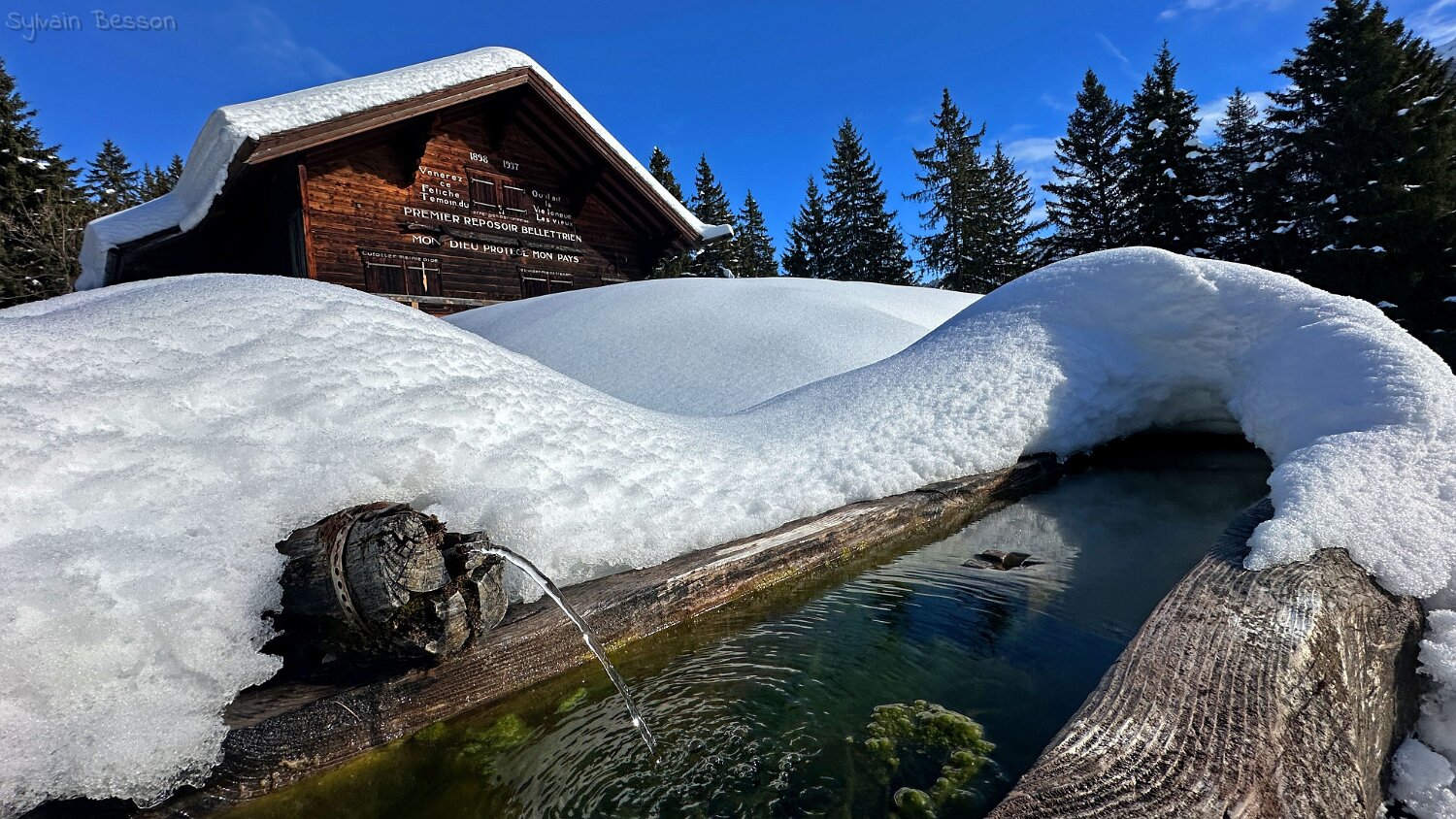 Col du Pillon - Isenau Rando 2025