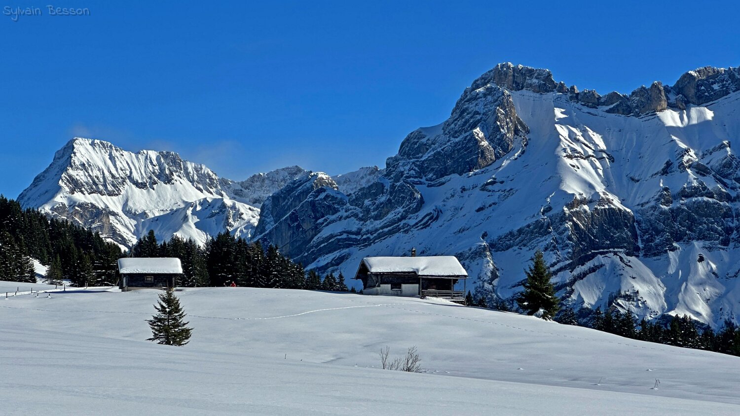 Col du Pillon - Isenau Rando 2025