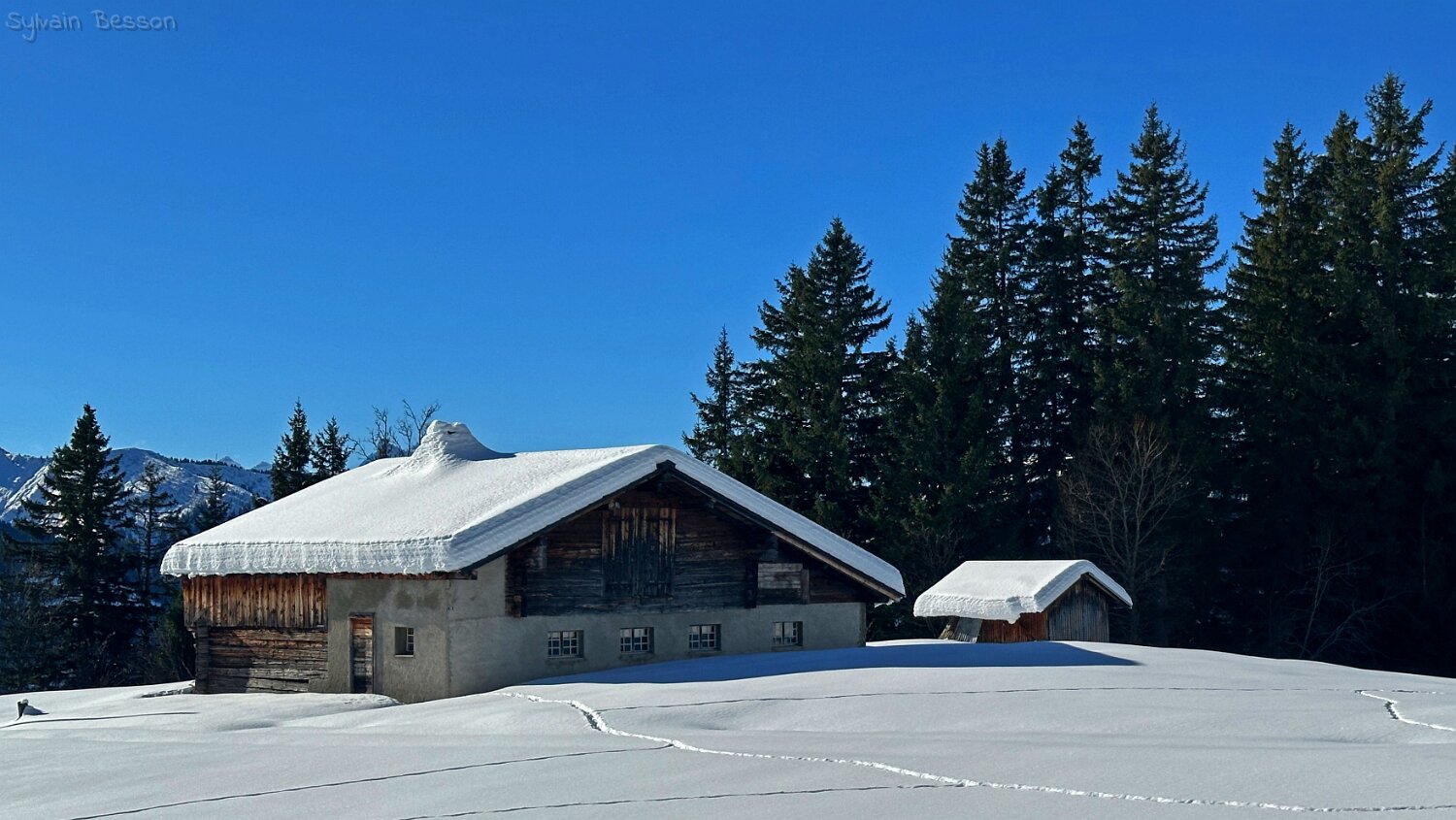 Col du Pillon - Isenau Rando 2025