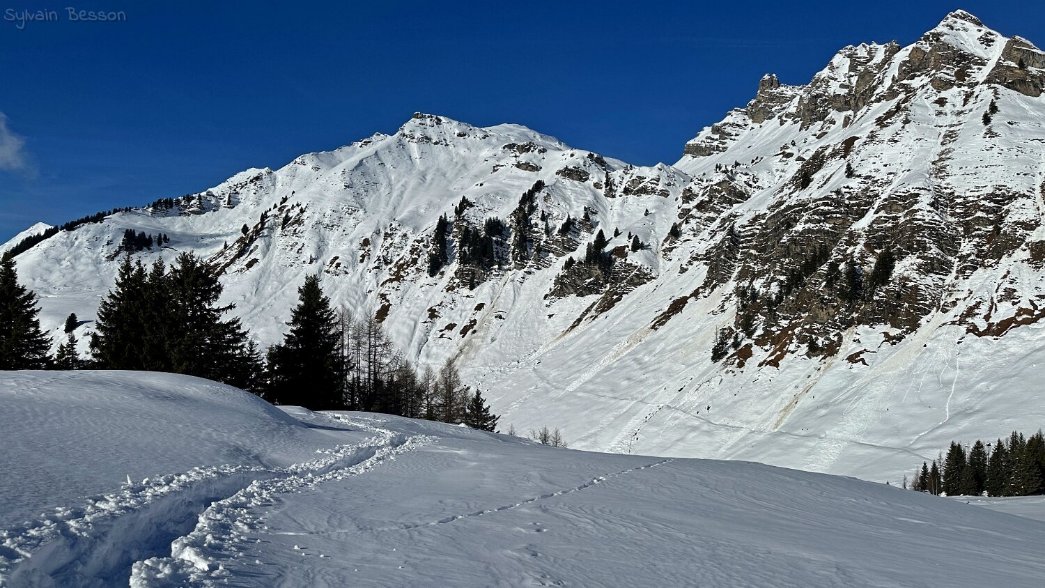 Col du Pillon - Isenau Rando 2025