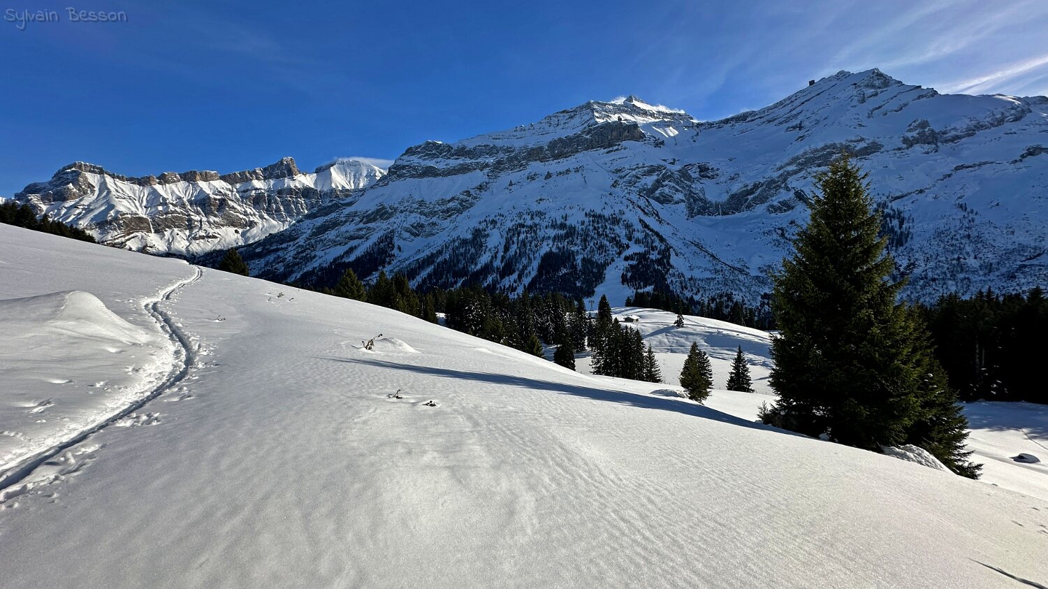 Col du Pillon - Isenau Rando 2025