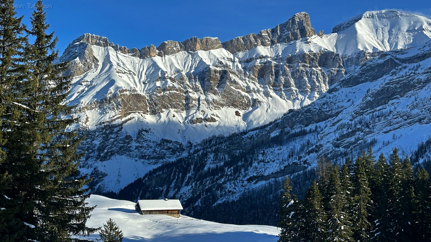 Col du Pillon - Isenau Rando 2025