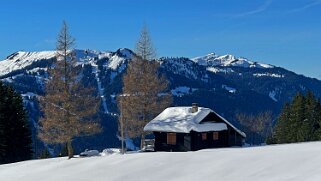 Col du Pillon - Isenau null