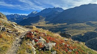 Chemin des Chevaux Rando 2025