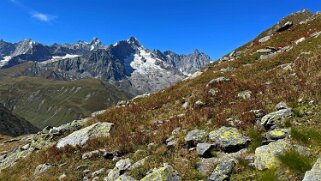 Mont Dolent 3819 m