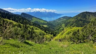 Col de Jaman - Col du Soladier Rando 2025