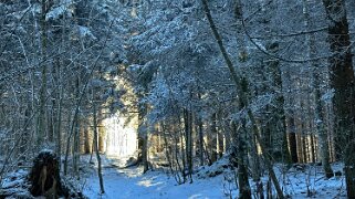 Col du Mollendruz - Croix de Châtel null