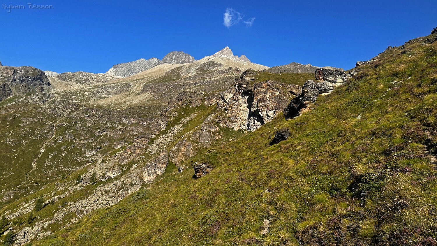 Val d'Arolla Rando 2025
