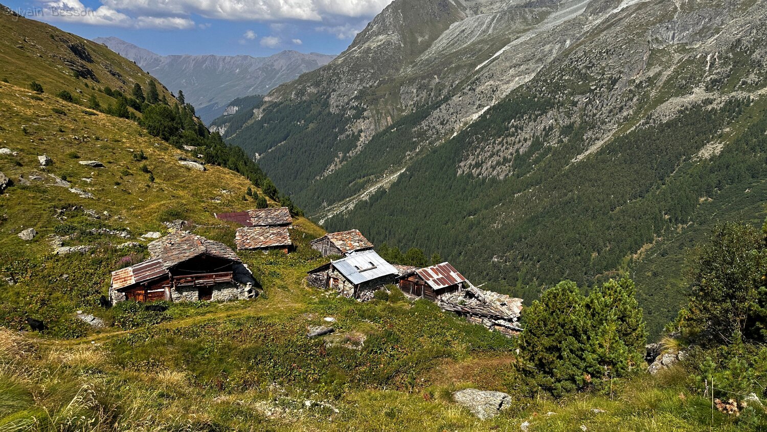 Tsalè de Pragra - Val d'Arolla Rando 2025